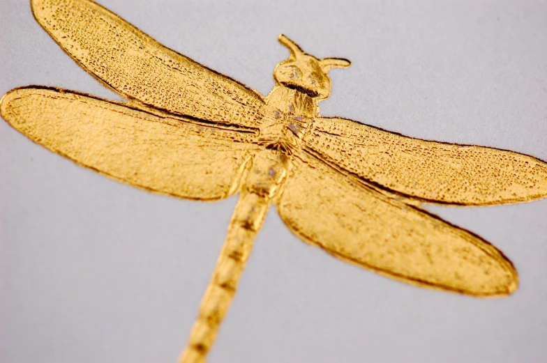 the gold dragonfly is seen in this picture