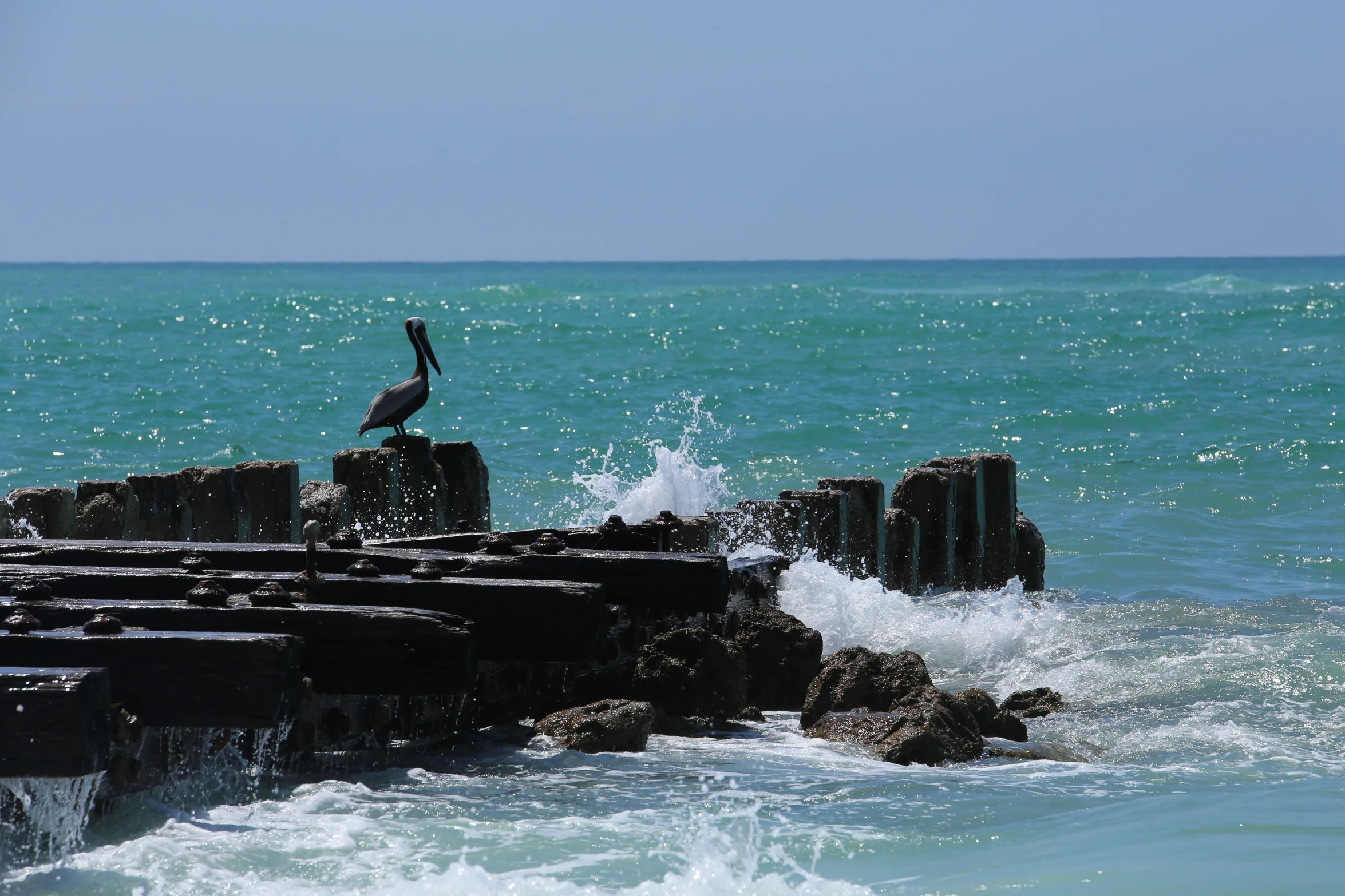 a bird stands on some rocks in the middle of the water