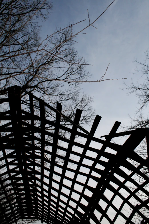 a bird flying over a wooden structure near bare trees