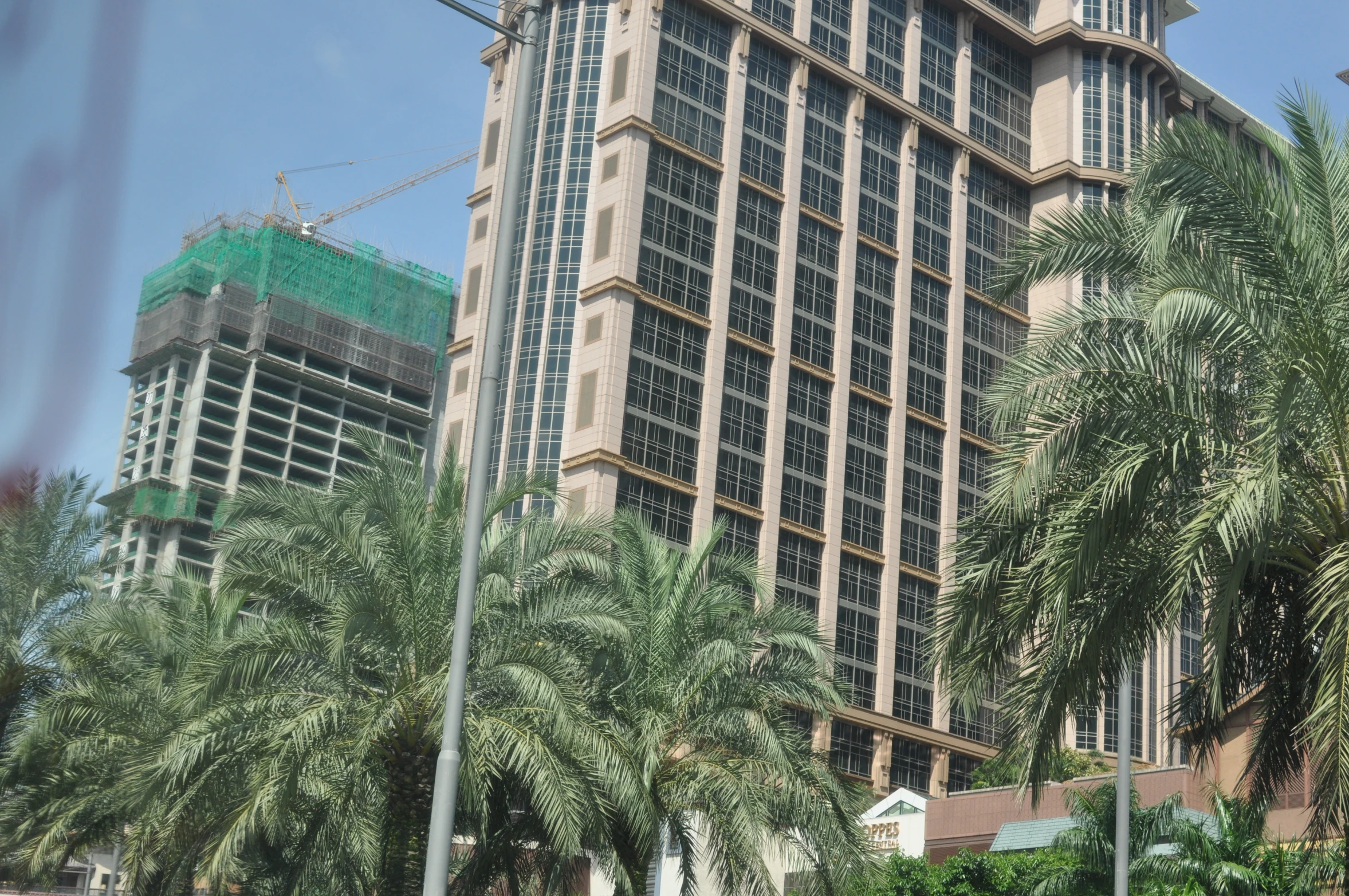 a building that has palm trees in front of it