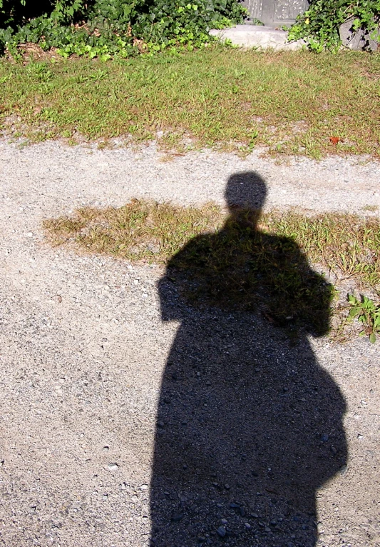 a shadow of a person standing by a stop sign