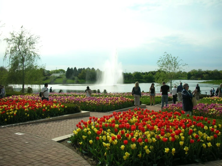 people walking around a flower garden next to a lake