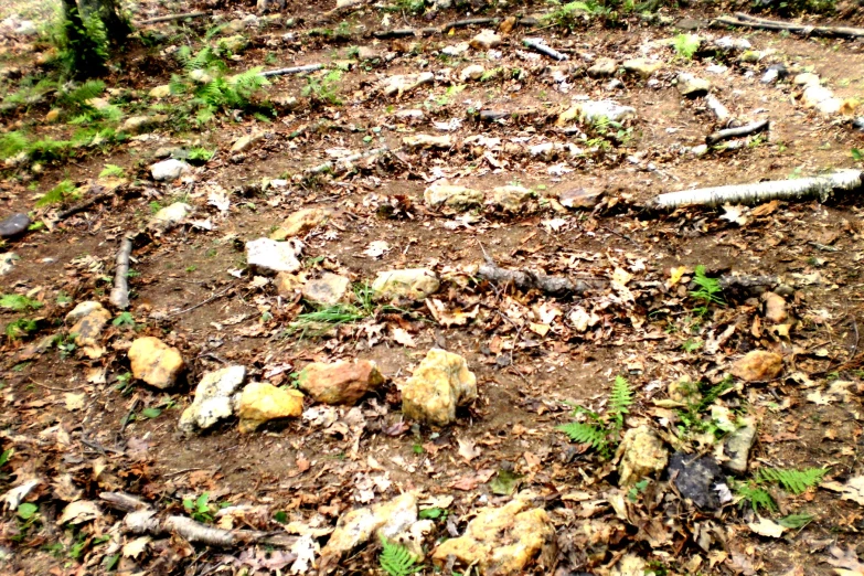 the rocks are next to the fire hydrant in the woods