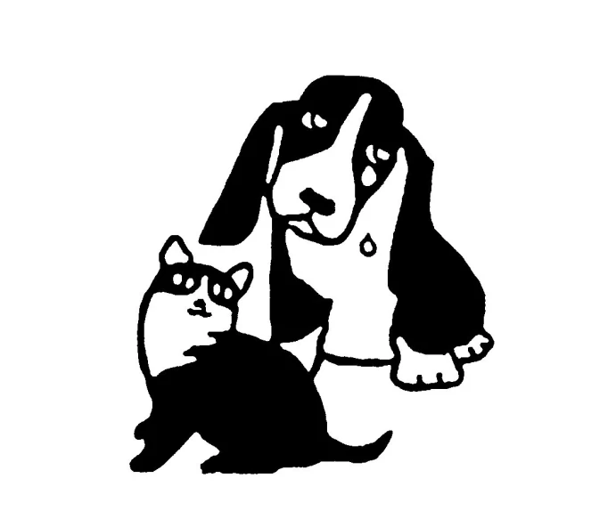 a dog and cat are standing next to each other