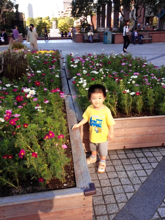 there is a young child standing by a garden of flowers