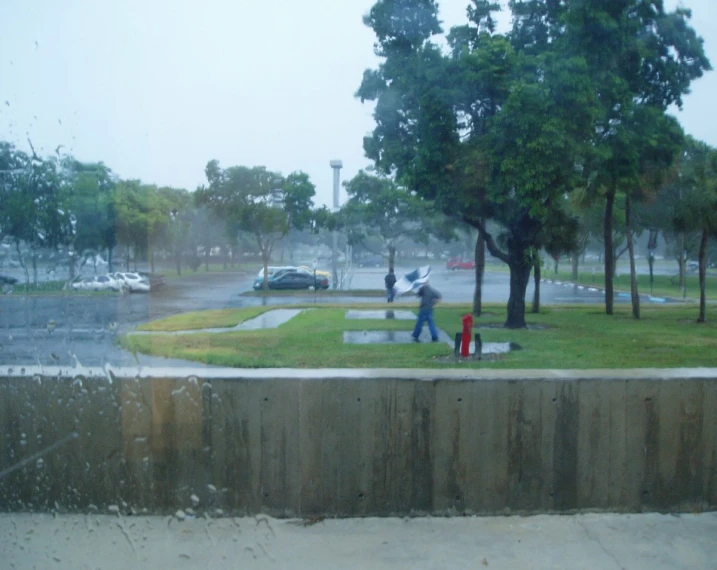 a group of people on a street near a park