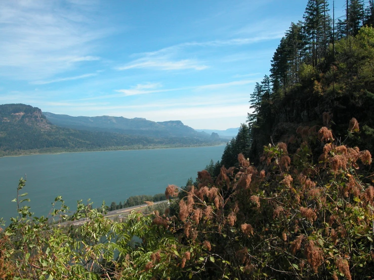 an expansive, tranquil view of some mountains and water