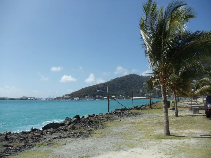 palm trees by the ocean in front of a small island