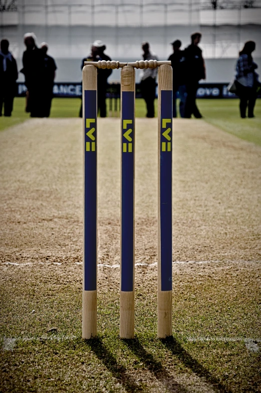 some big wooden sticks in the grass