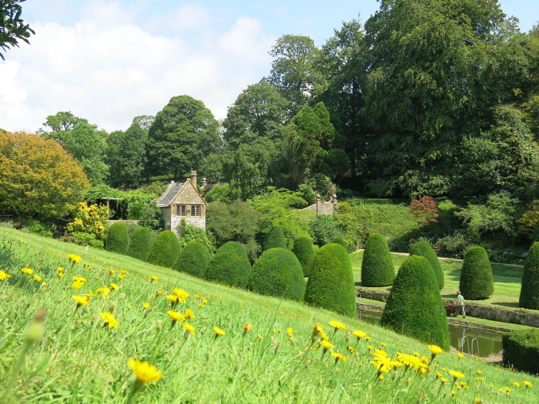 an area that is beautiful and green with flowers