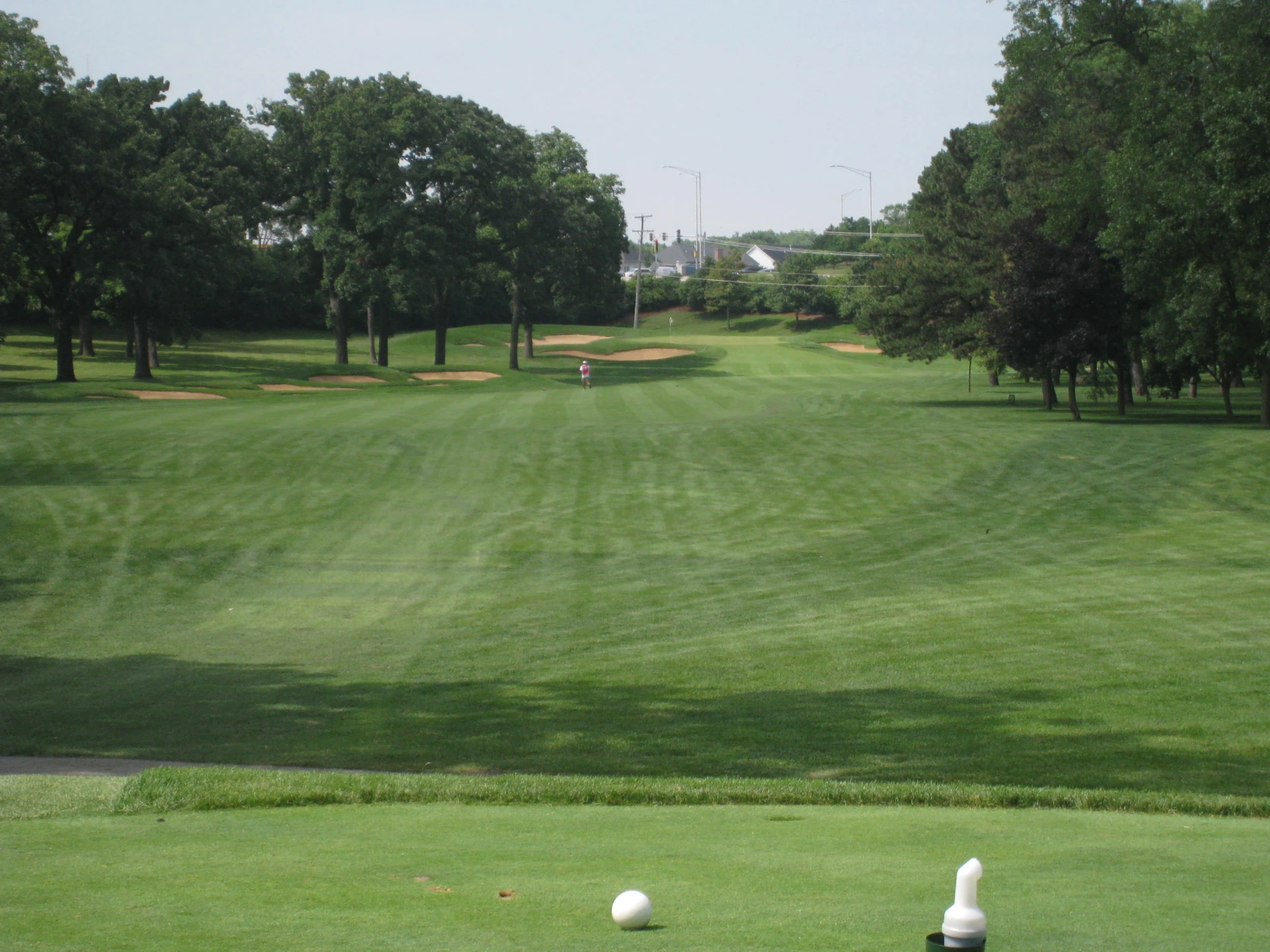 the tees and ball in a golf course are all visible