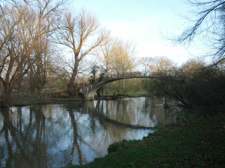 a bridge over a small river by a forest