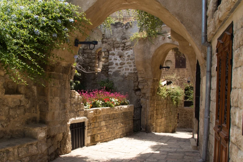 an arched walkway in an old building with flower pots