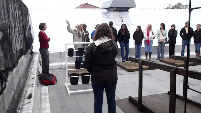 group of people standing on a roof with their arms in the air