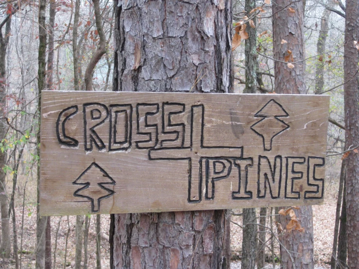 a wood sign posted in the middle of a forest