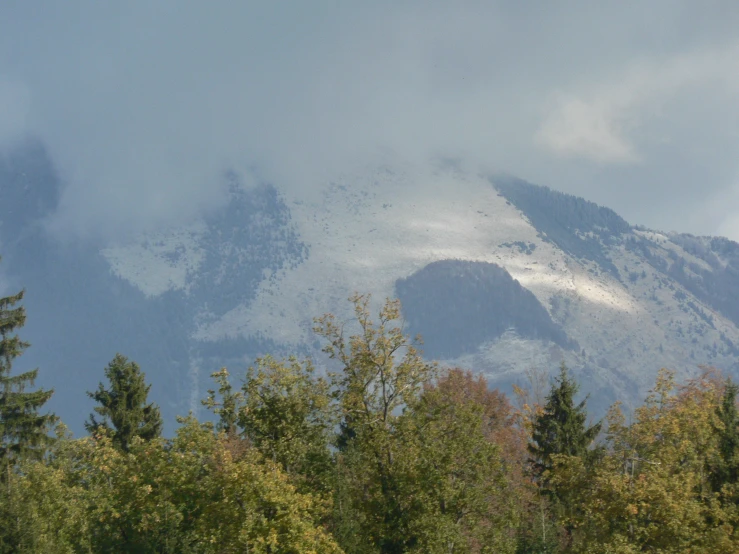 snow covered mountain towering into the sky behind pine trees