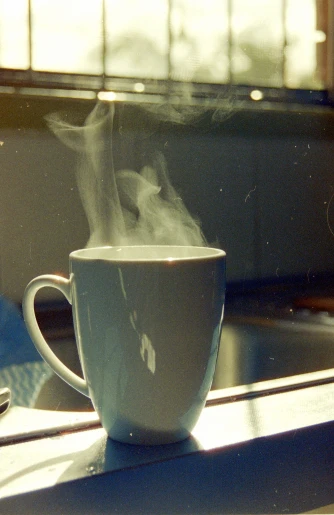 a cup of steam sits in the sunlight