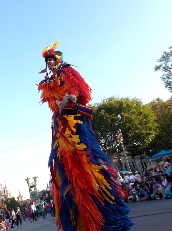 a person wearing a colorful carnival outfit and a headdress