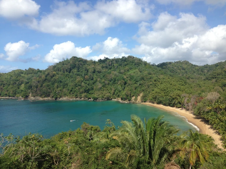 the green hills and trees of a tropical beach