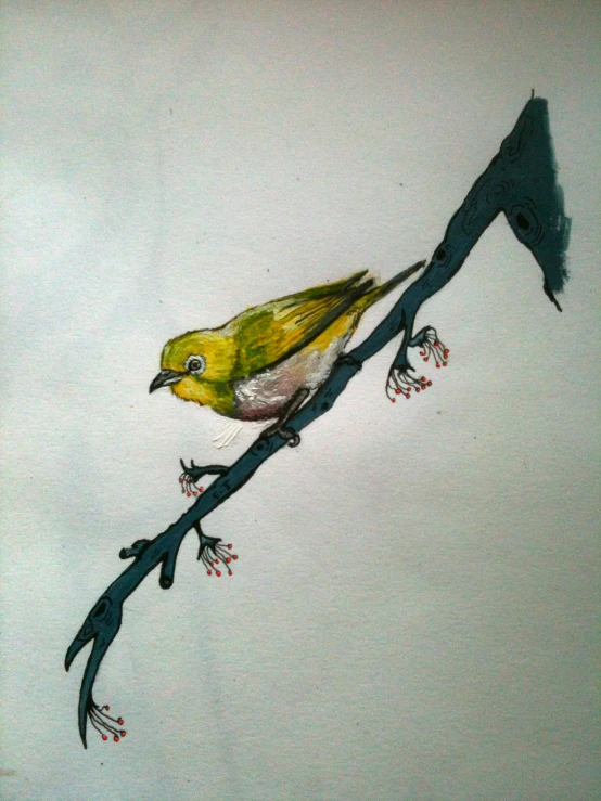 drawing with black and white paint and yellow bird on nch