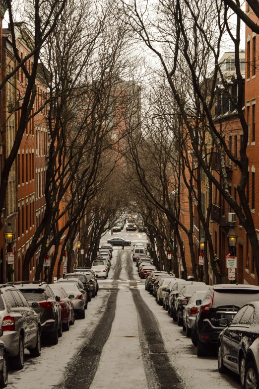 snow covered street lined with parking spaces next to tall brick buildings