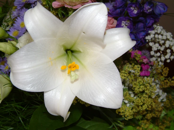 a bouquet with white flowers and purple and pink flowers