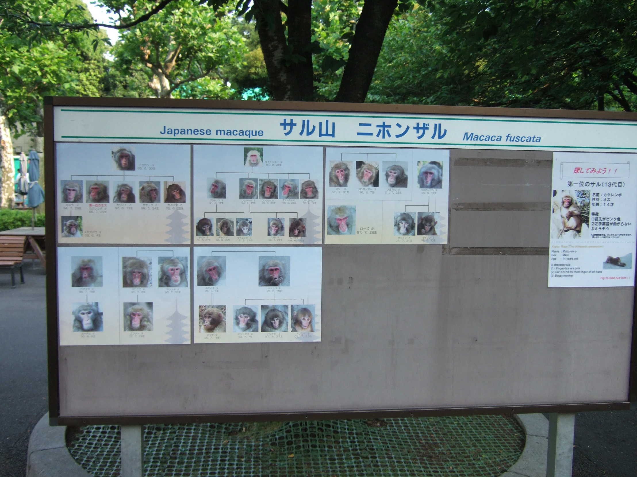 an information board on the side of the street