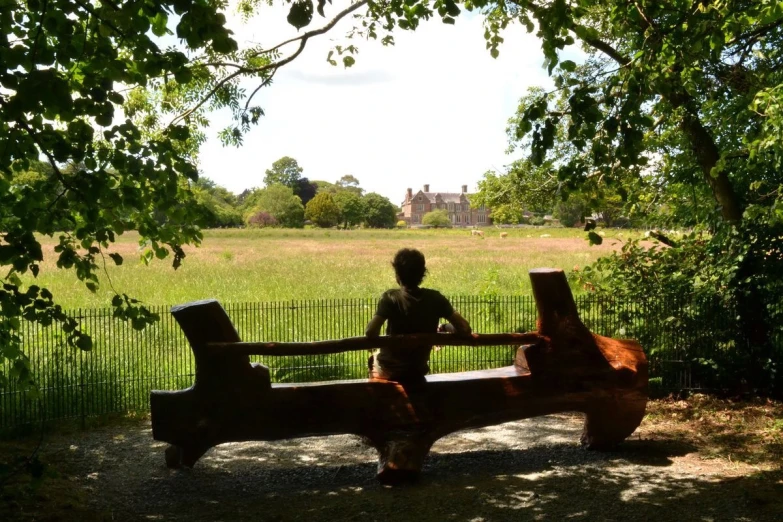 a person sits on a bench near a tree