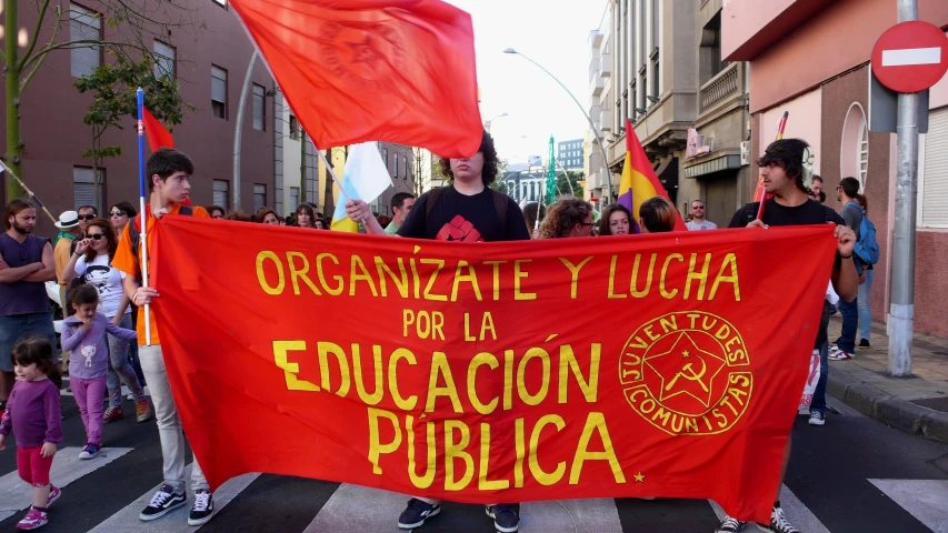 a couple of people holding flags in the street