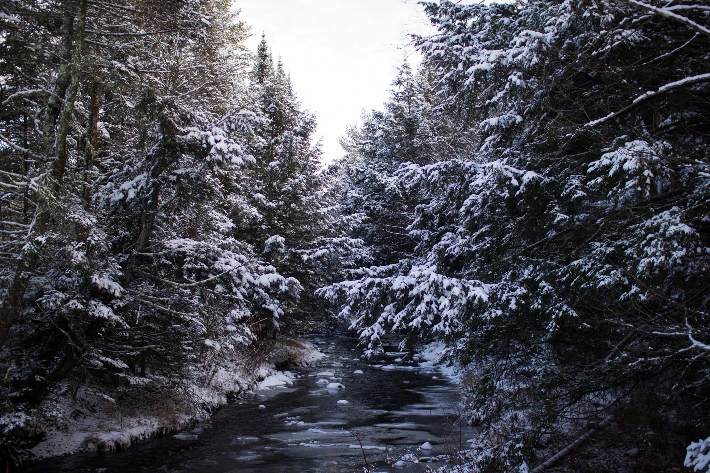 there is a river that runs between snow - covered trees