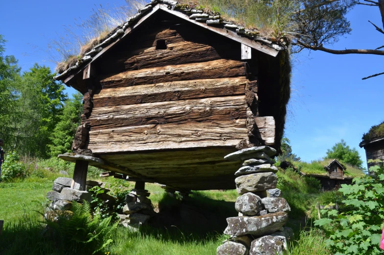 a building that has fallen from the tree