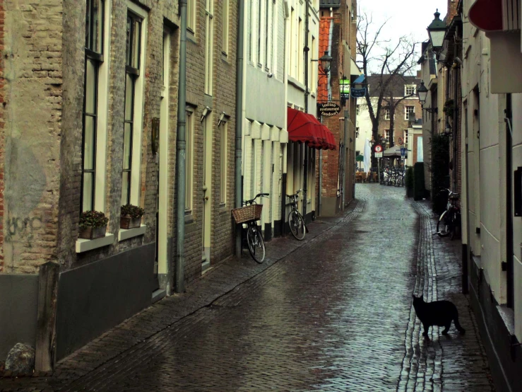 a woman walking her dog down the sidewalk in the rain