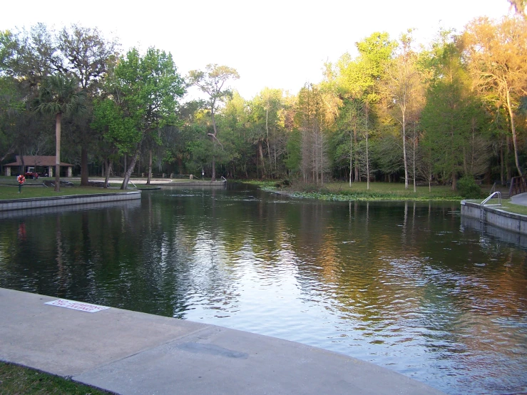 a large body of water surrounded by trees