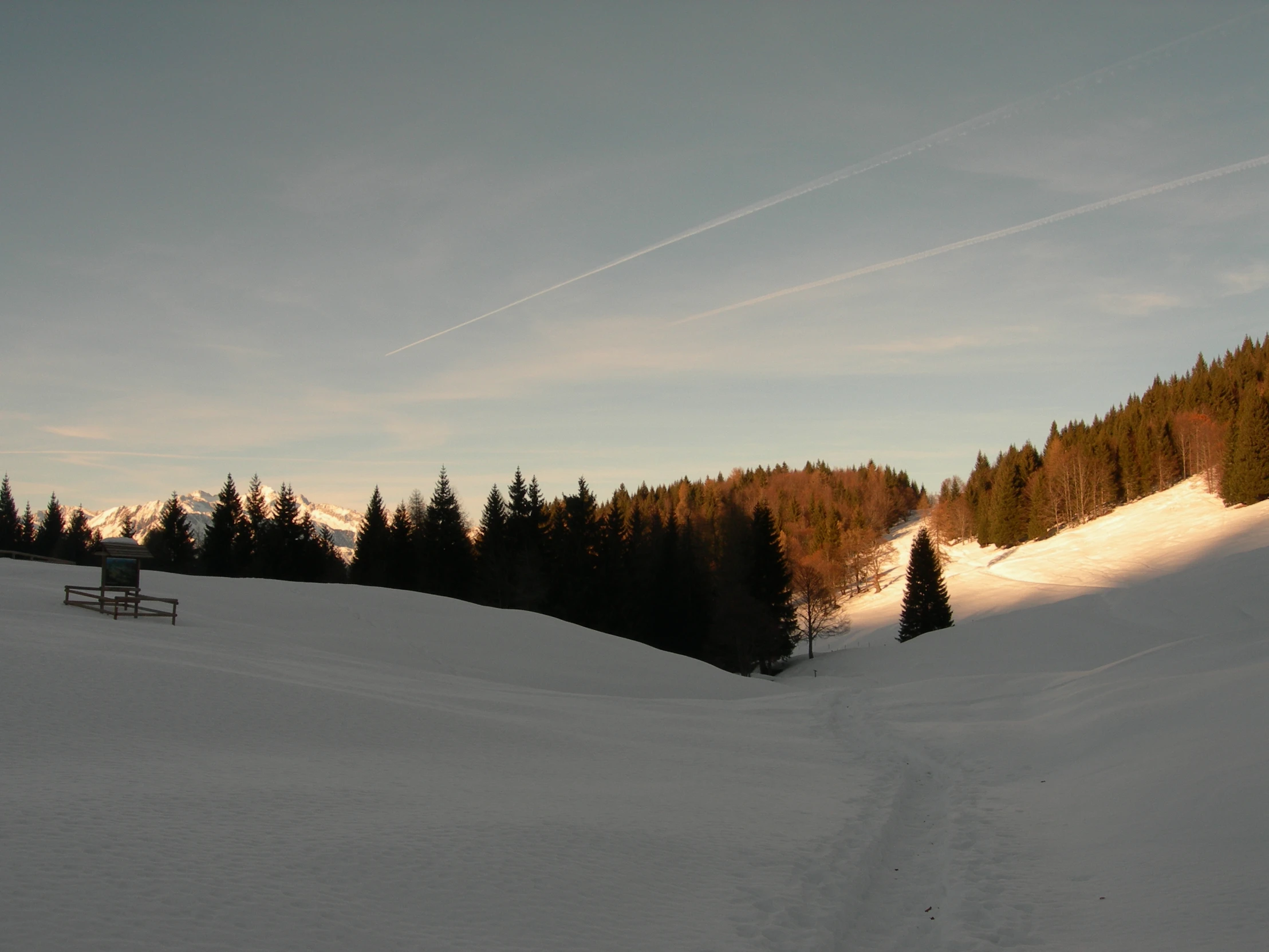 trees line the slopes on a sunny day