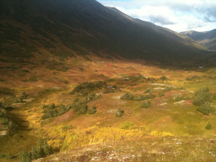 a field that has yellow grass and mountains