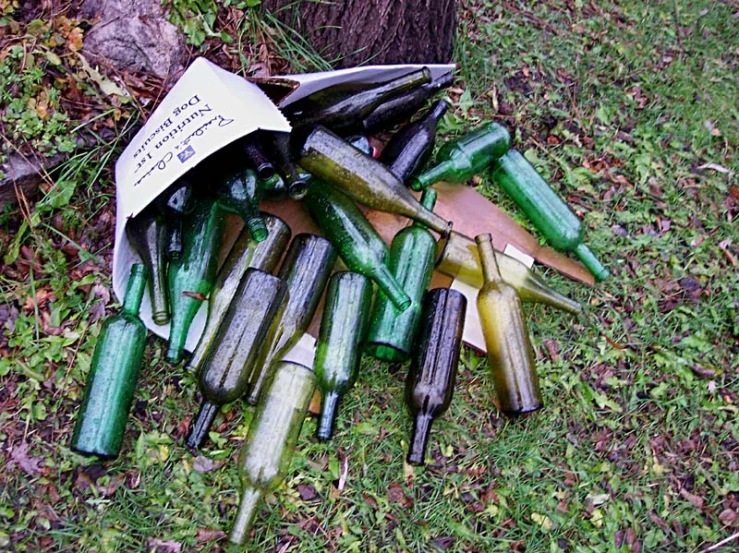 the large bunch of green food is sitting on the ground