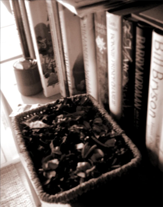 a group of books sit in front of a window