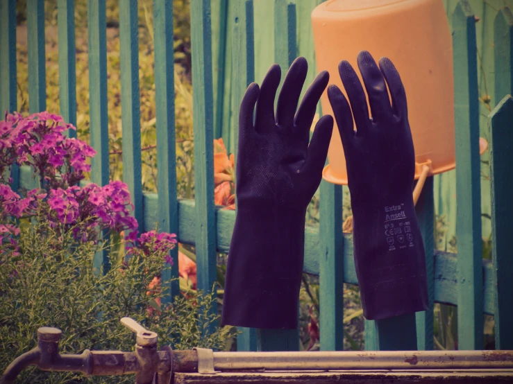 a garden fence is covered by black gloves