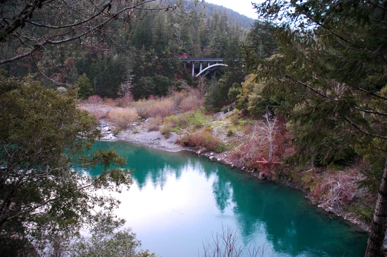 the water in the creek has bright blue color