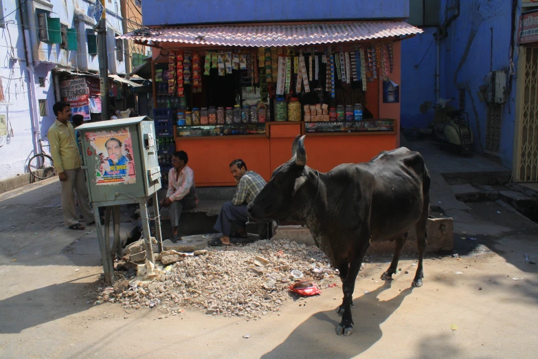 a man sitting outside a shop with a cow