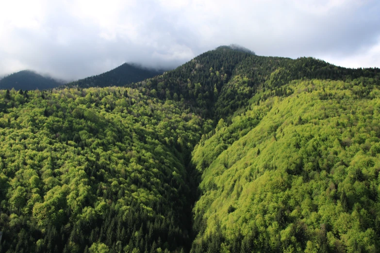 a very pretty mountain surrounded by some lush green trees