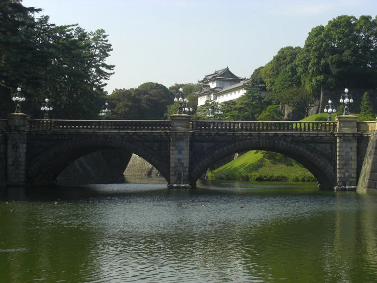 a bridge is in the middle of a pond