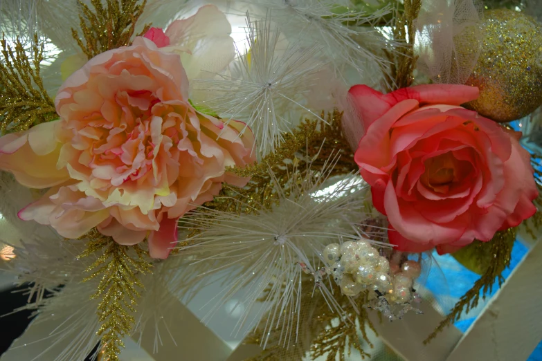 a close up of two flowers on a white base