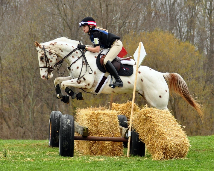 a person in uniform jumping a horse over hay