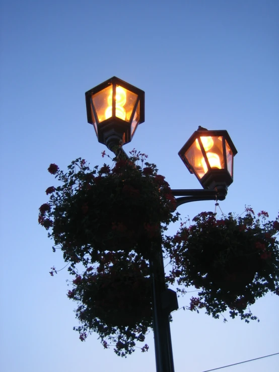 two streetlights and two plants on top of each other