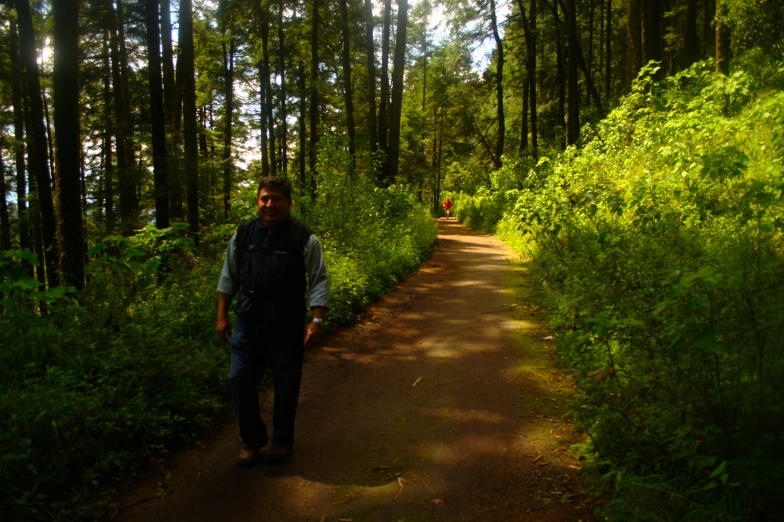 a person on a path in a wooded area