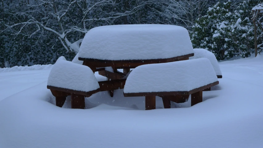 a group of bench covered in snow surrounded by trees