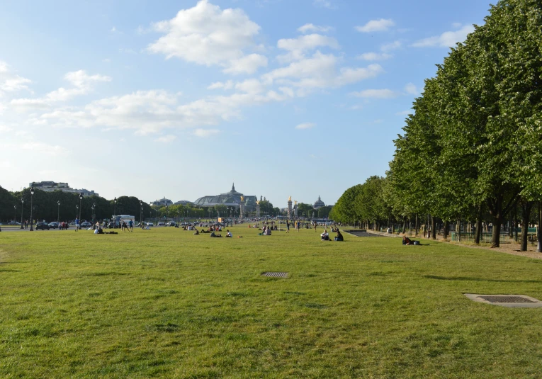 many people on grass field with trees