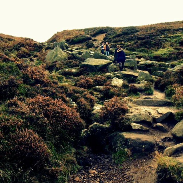 some people walking up a rocky trail near some rocks