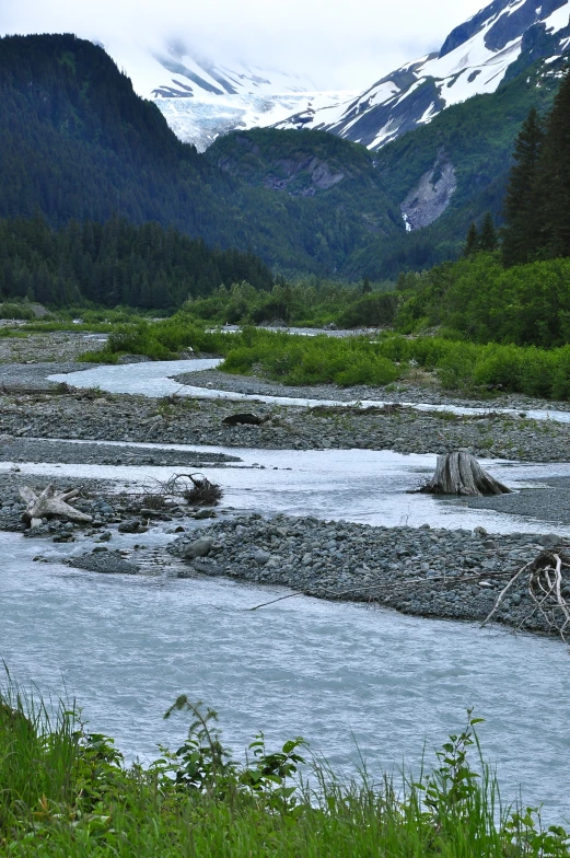 a body of water with trees and mountains in the background